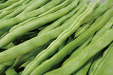 圖片關(guān)鍵詞