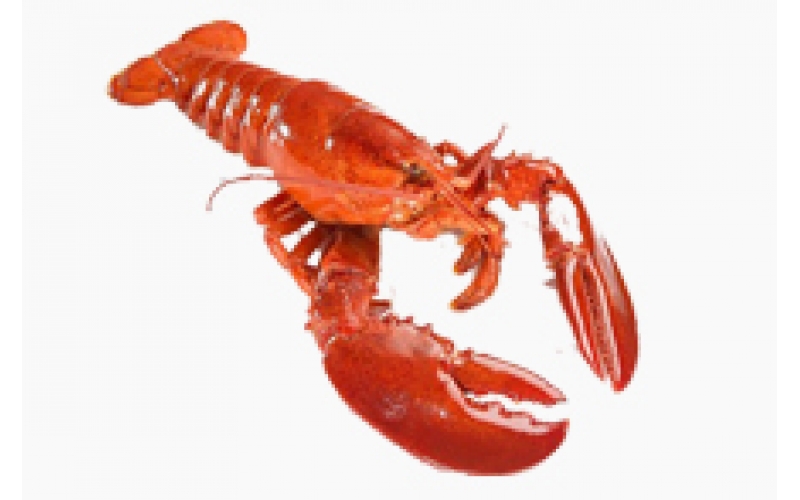 水產(chǎn)品